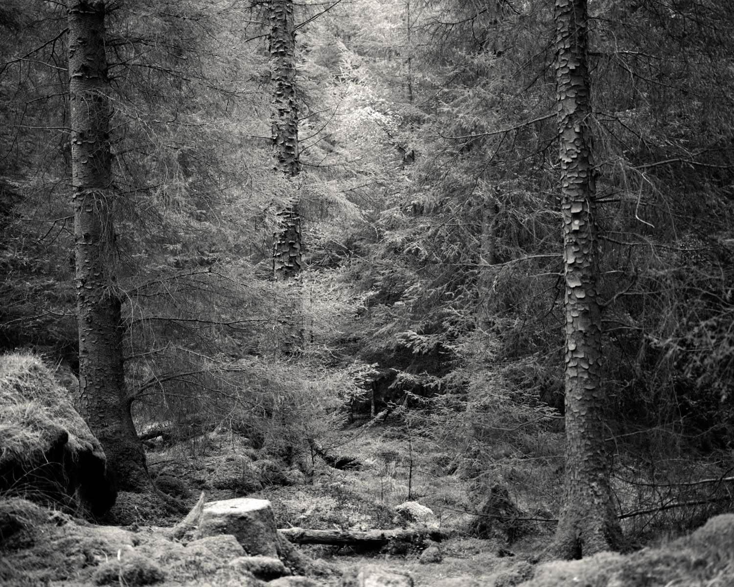 Ex-Voto now on show | World Photography Organisation